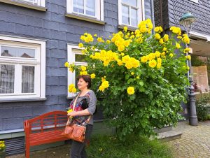 soest29