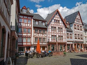 mainz8